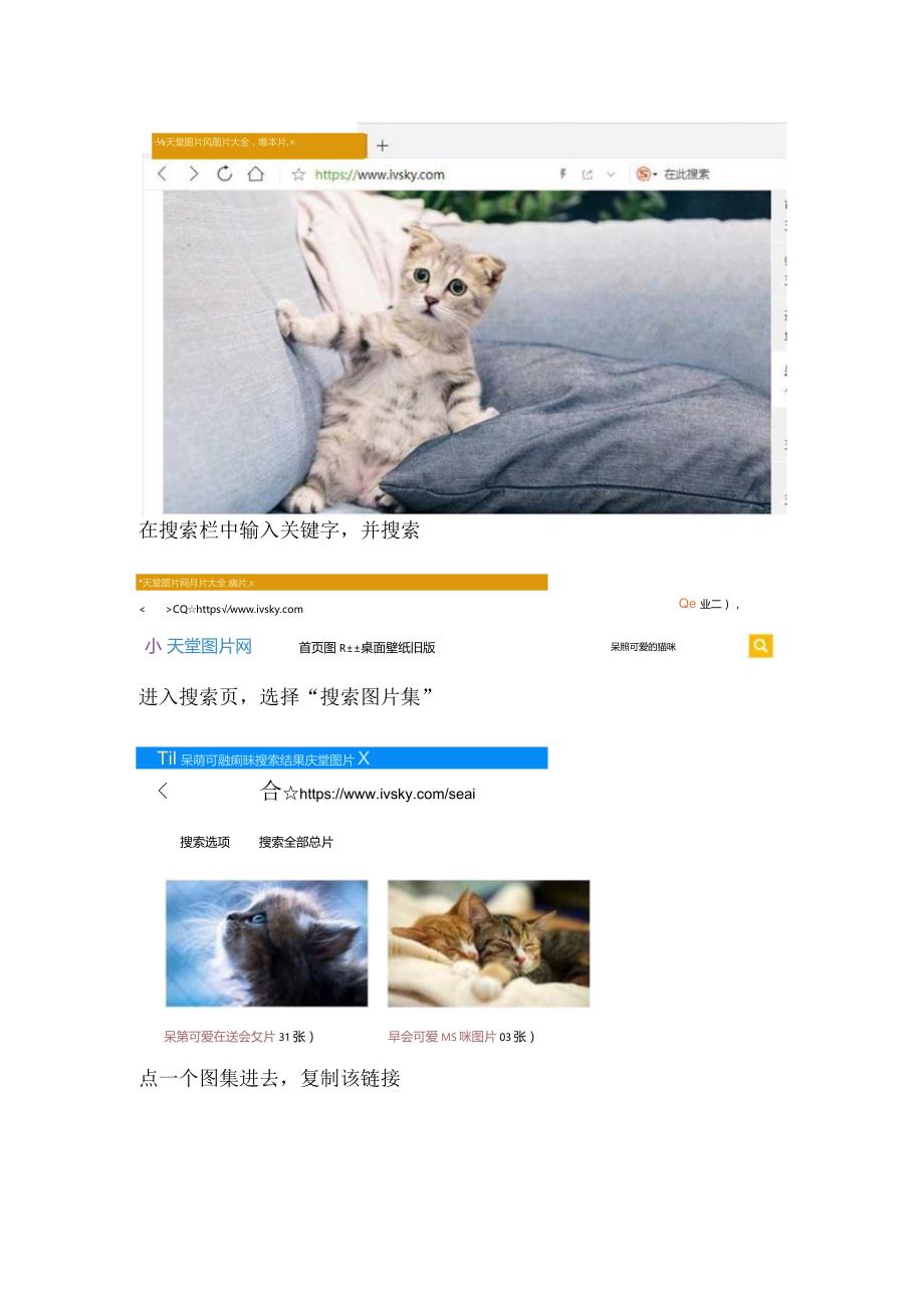 把天堂图片网中呆萌可爱的猫咪图片都批量收藏起来.docx_第3页