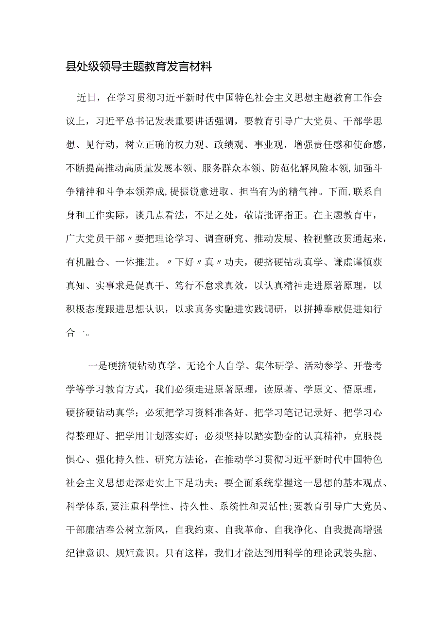 县处级领导主题教育发言材料.docx_第1页