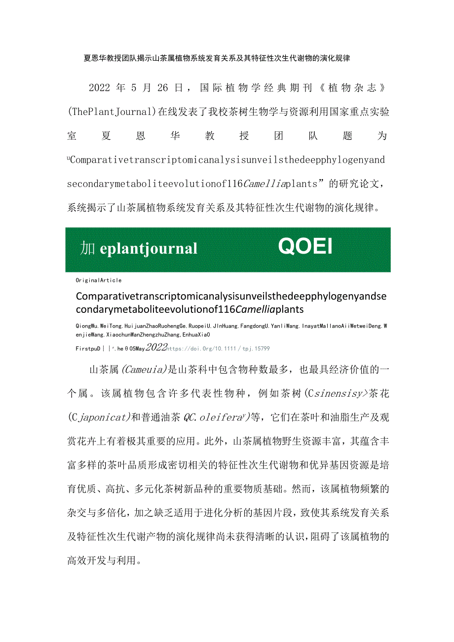 夏恩华教授团队揭示山茶属植物系统发育关系及其特征性次生代谢物的演化规律.docx_第1页