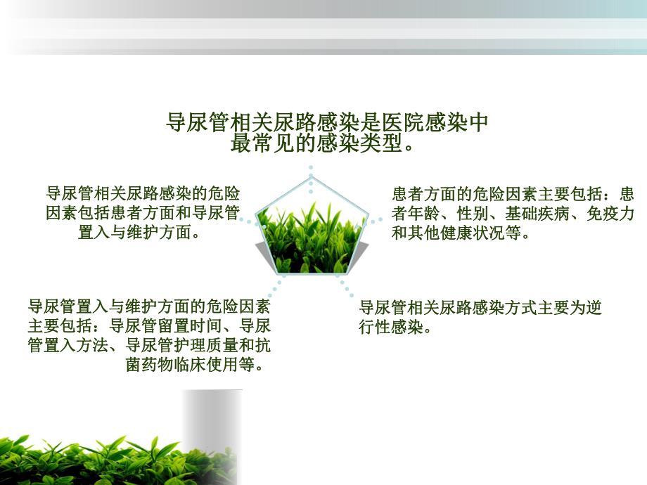 导尿管相关尿路感染的预防.ppt.ppt_第3页