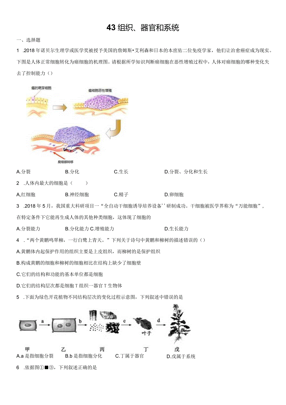 4.3组织、器官和系统 同步练习（含解析）.docx_第1页