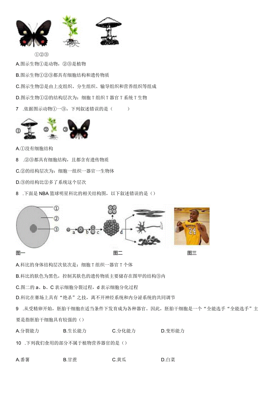 4.3组织、器官和系统 同步练习（含解析）.docx_第2页