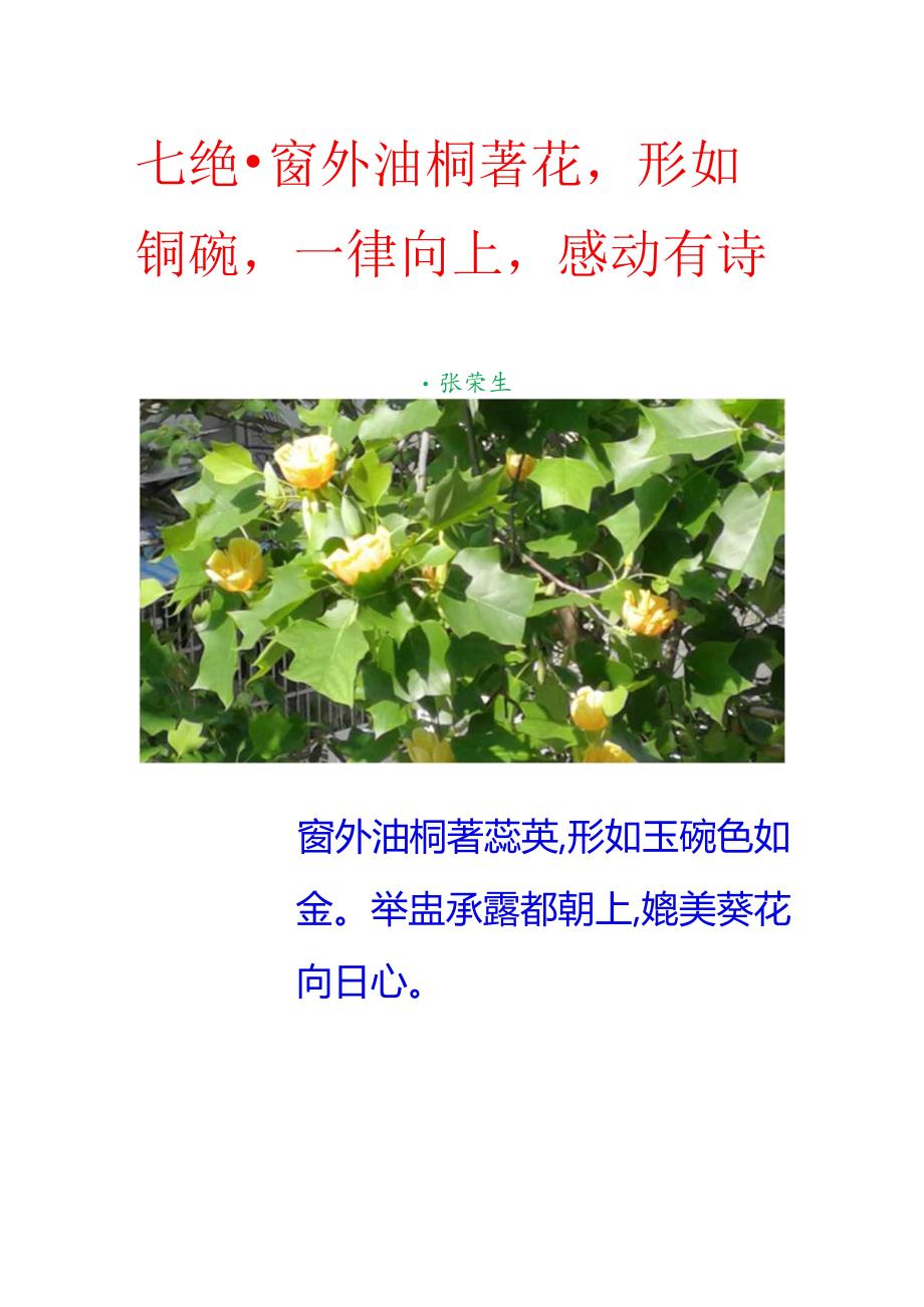 七绝-窗外油桐著花形如铜碗一律向上感动有诗.docx_第1页