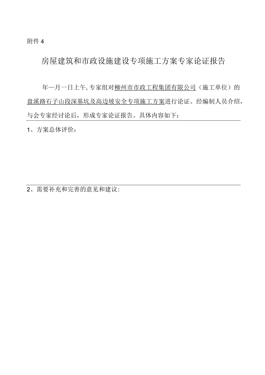 专家论证报告表.docx_第1页