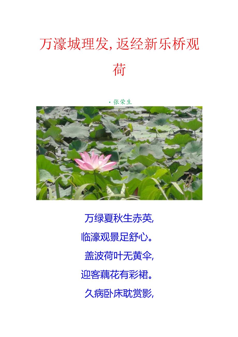 万濠城理发返经新乐桥观荷.docx_第1页