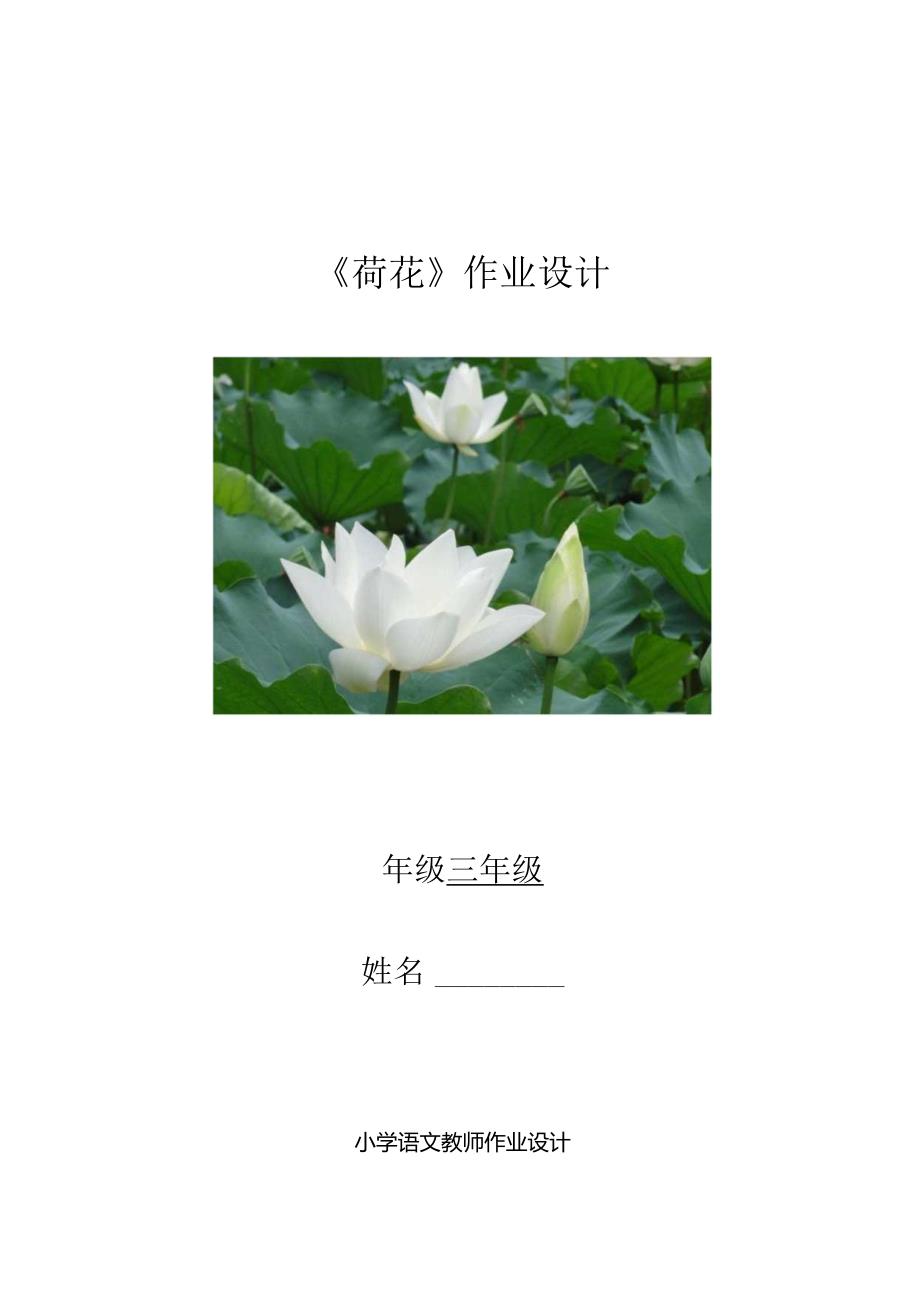 《荷花》“优质作业设计”.docx_第1页