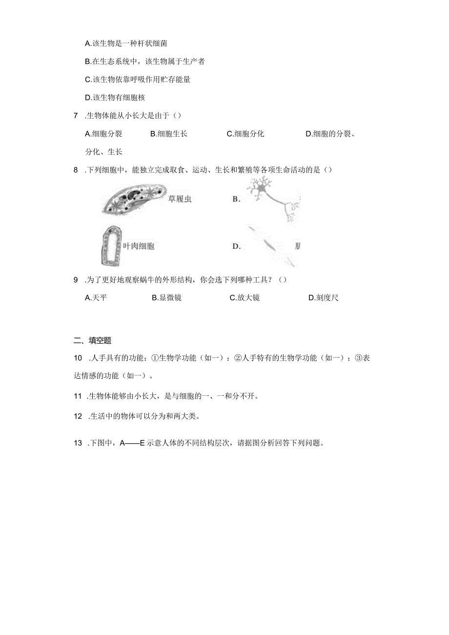 4.2 细胞 同步练习（含解析）.docx_第3页