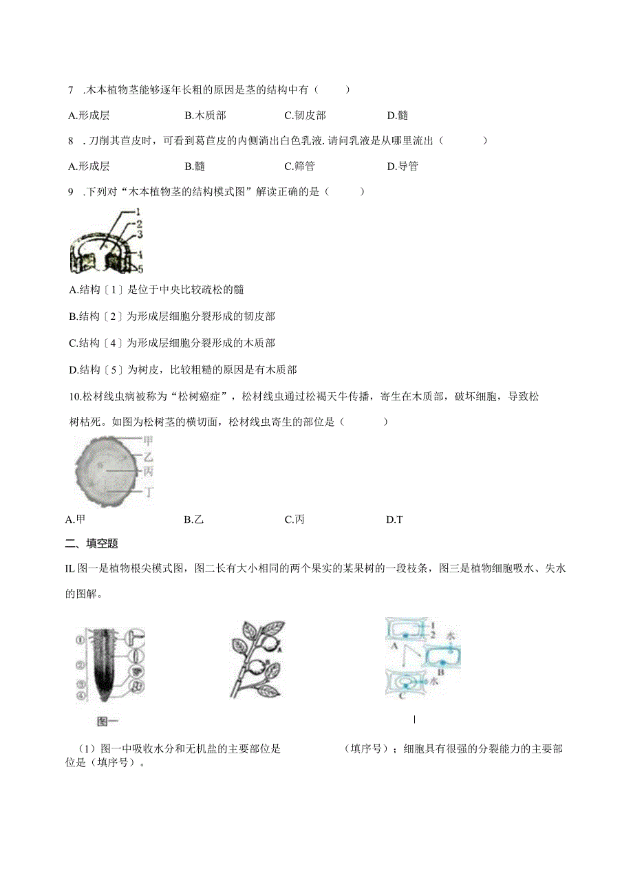 4.4植物的茎与物质运输 同步练习（含解析） .docx_第2页