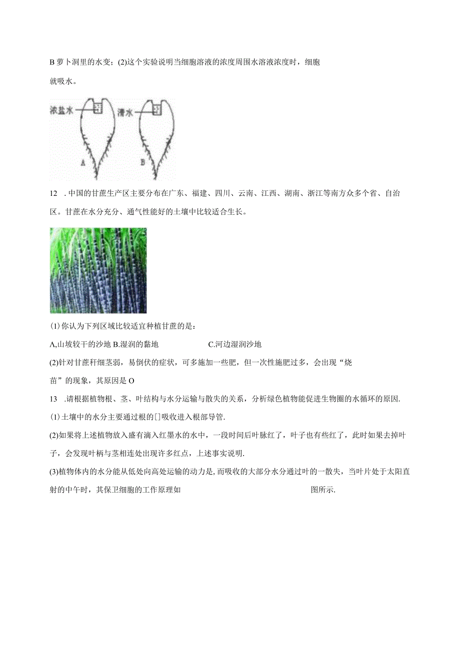 4.3植物的根与物质吸收 同步练习（含解析） .docx_第3页