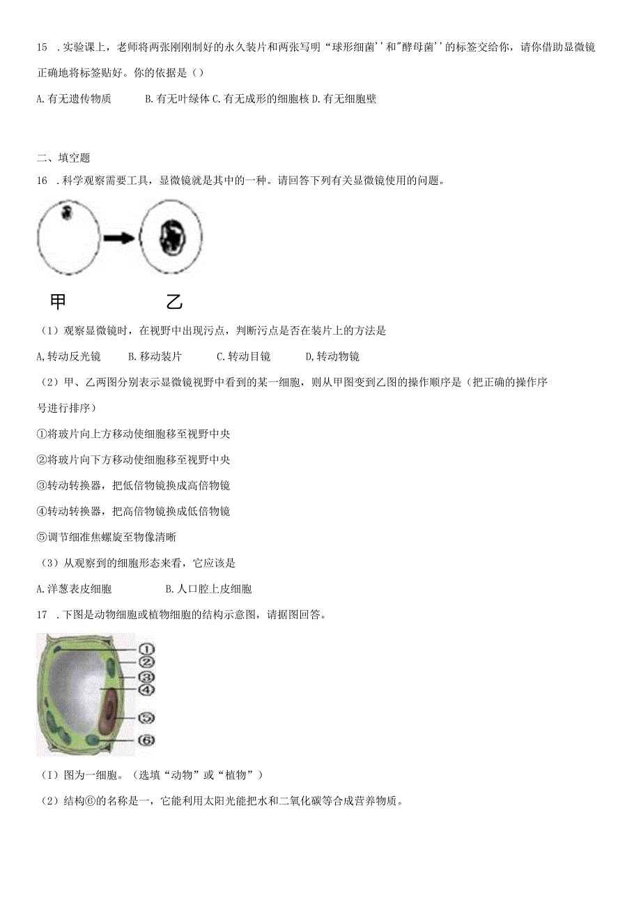 4.2 细胞 同步练习（含解析）.docx_第3页