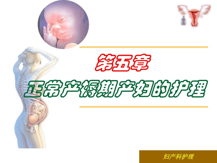 第五章正常产褥期产妇的护理.ppt_第1页