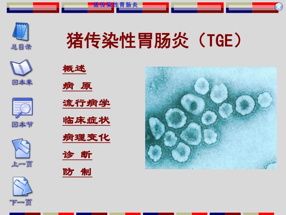 04猪传染性胃肠炎.ppt_第1页