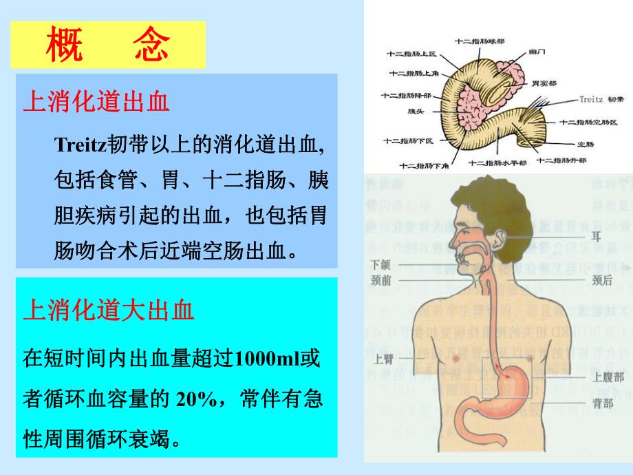 消化道出血.ppt_第3页