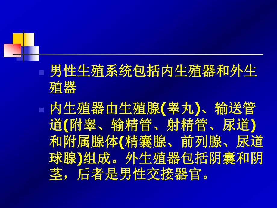 第六十章男性性功能障碍、不育和节育(PPT61).ppt_第3页