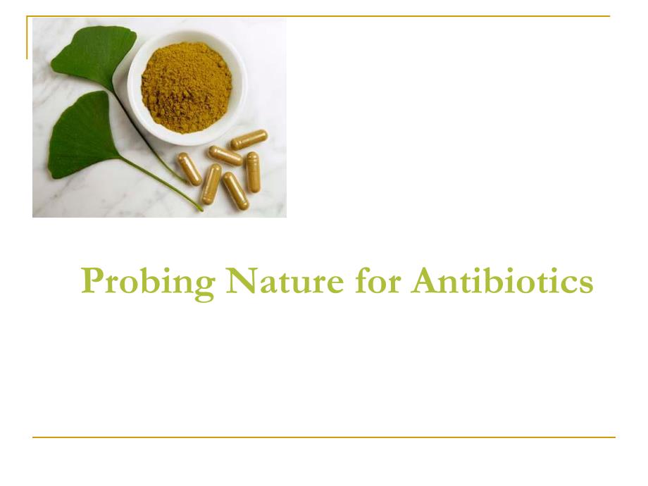 探索抗生素的本质（英文PPT）Probing Nature for Antibiotics.ppt_第1页