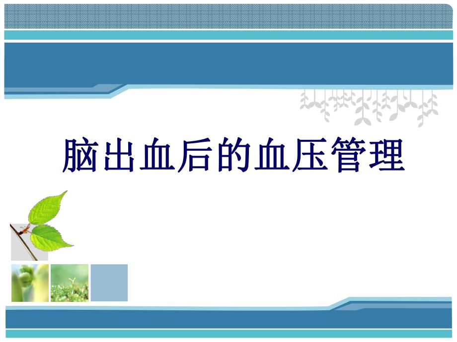 脑出血后血压管理.ppt_第1页