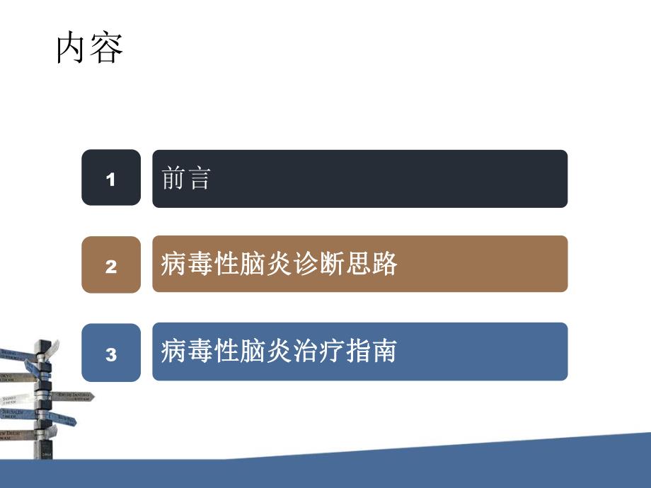 病毒性脑炎的诊断治疗新进展.ppt_第2页