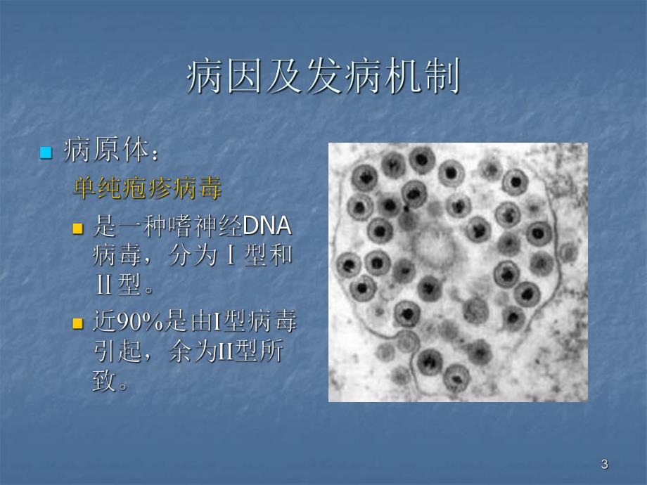 【医药健康】单纯疱疹病毒性脑炎.ppt_第3页