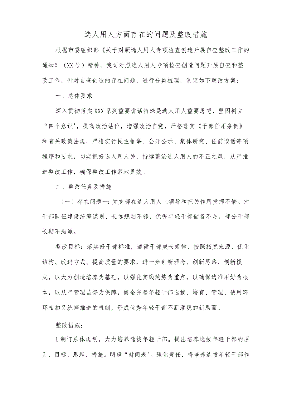 选人用人方面存在的问题及整改措施.docx_第1页