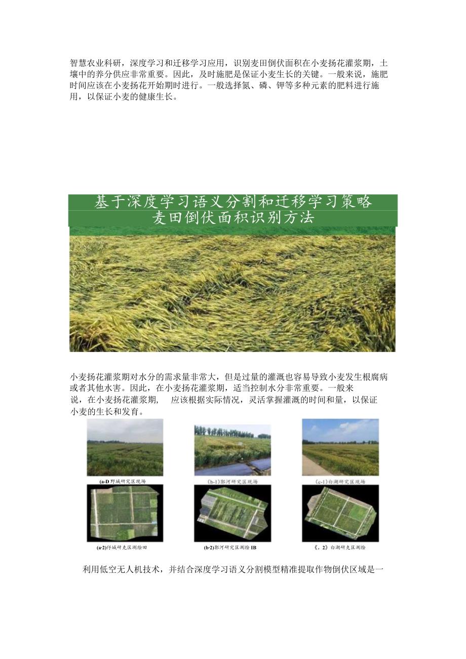 深度学习和迁移学习应用识别麦田倒伏面积.docx_第1页