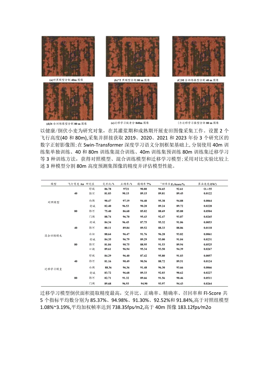 深度学习和迁移学习应用识别麦田倒伏面积.docx_第3页