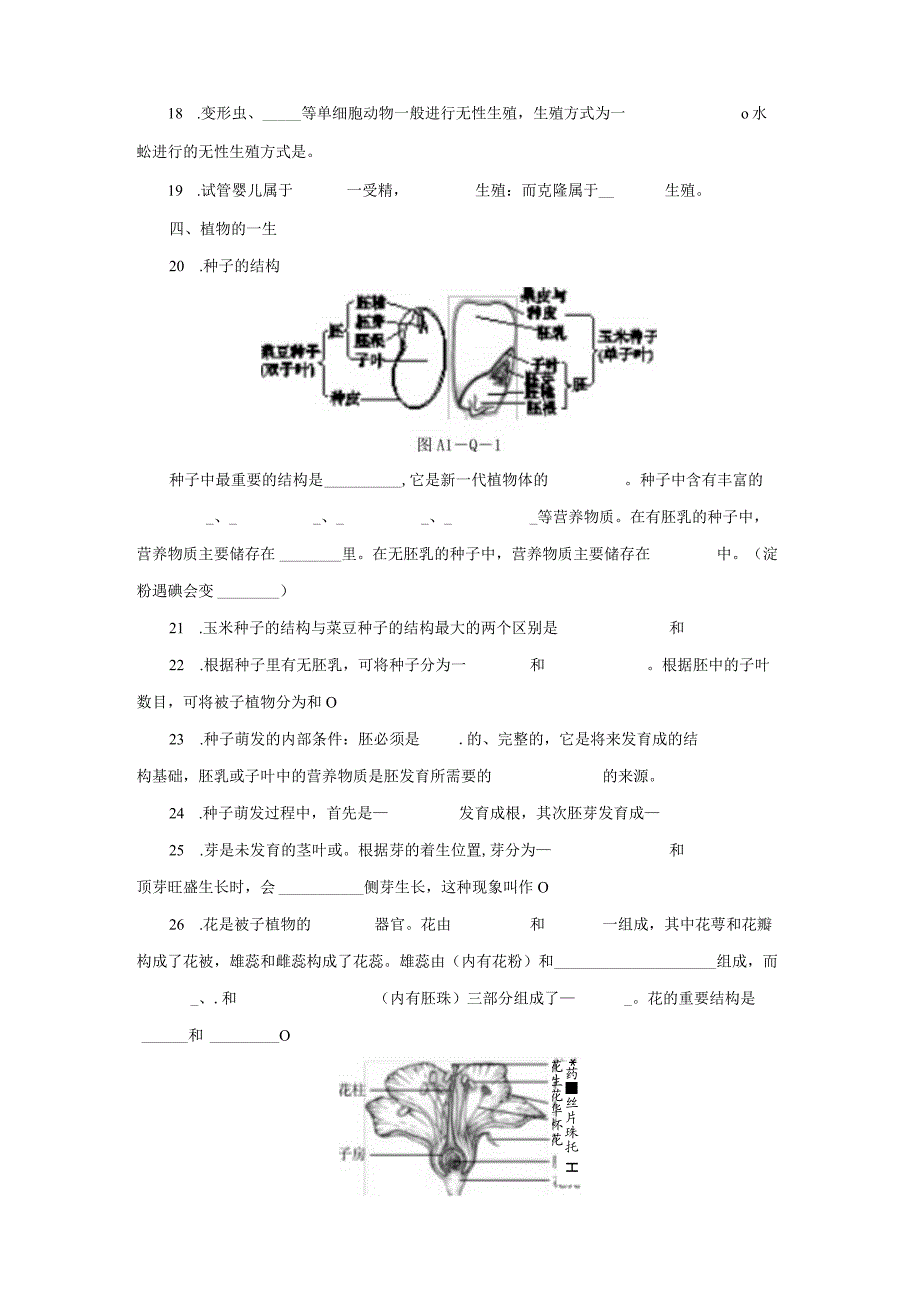 第1章 代代相传的生命 提纲填空（素材 无答案）.docx_第3页