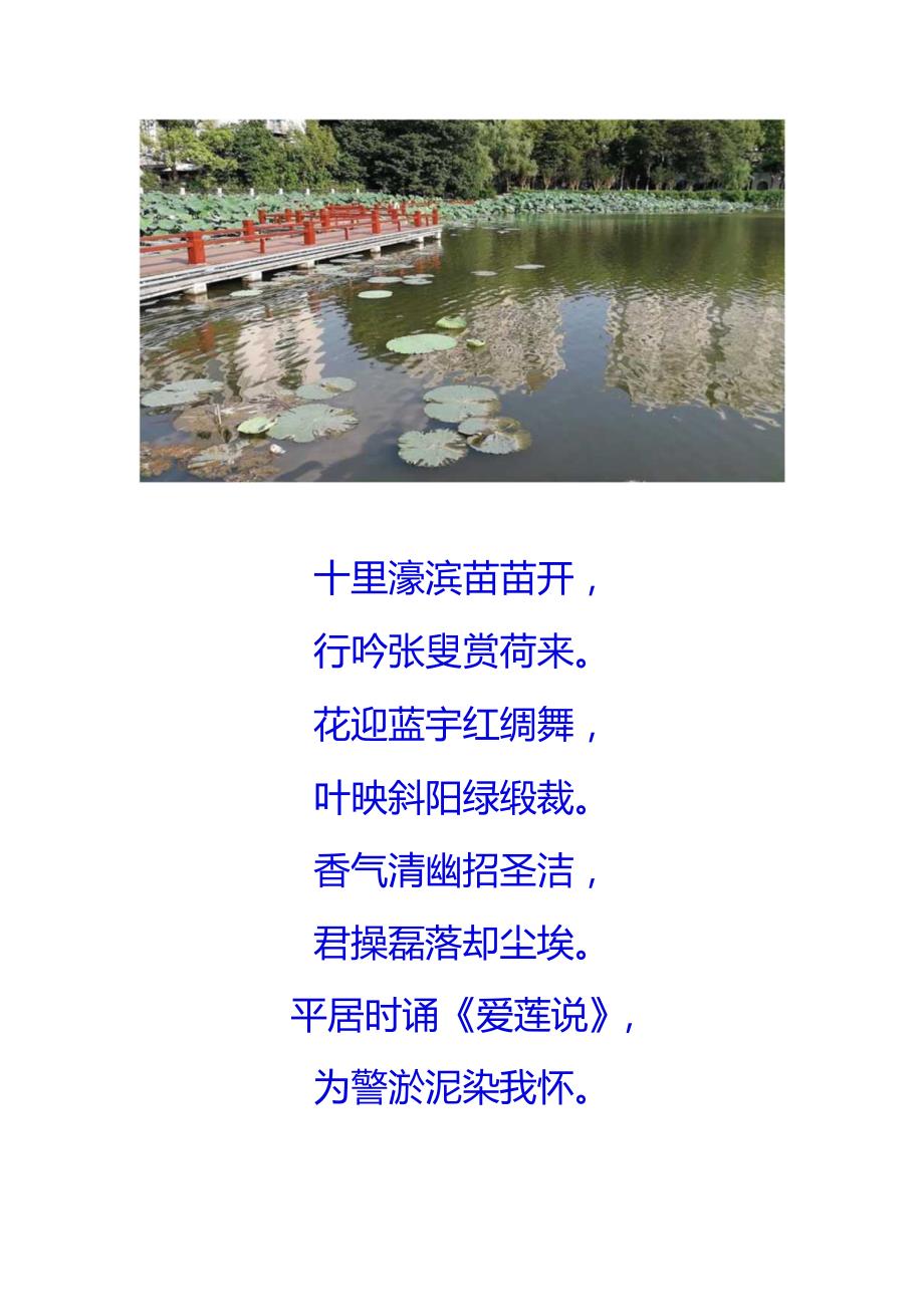 辛丑年夏日闪游濠滨观赏荷花.docx_第2页