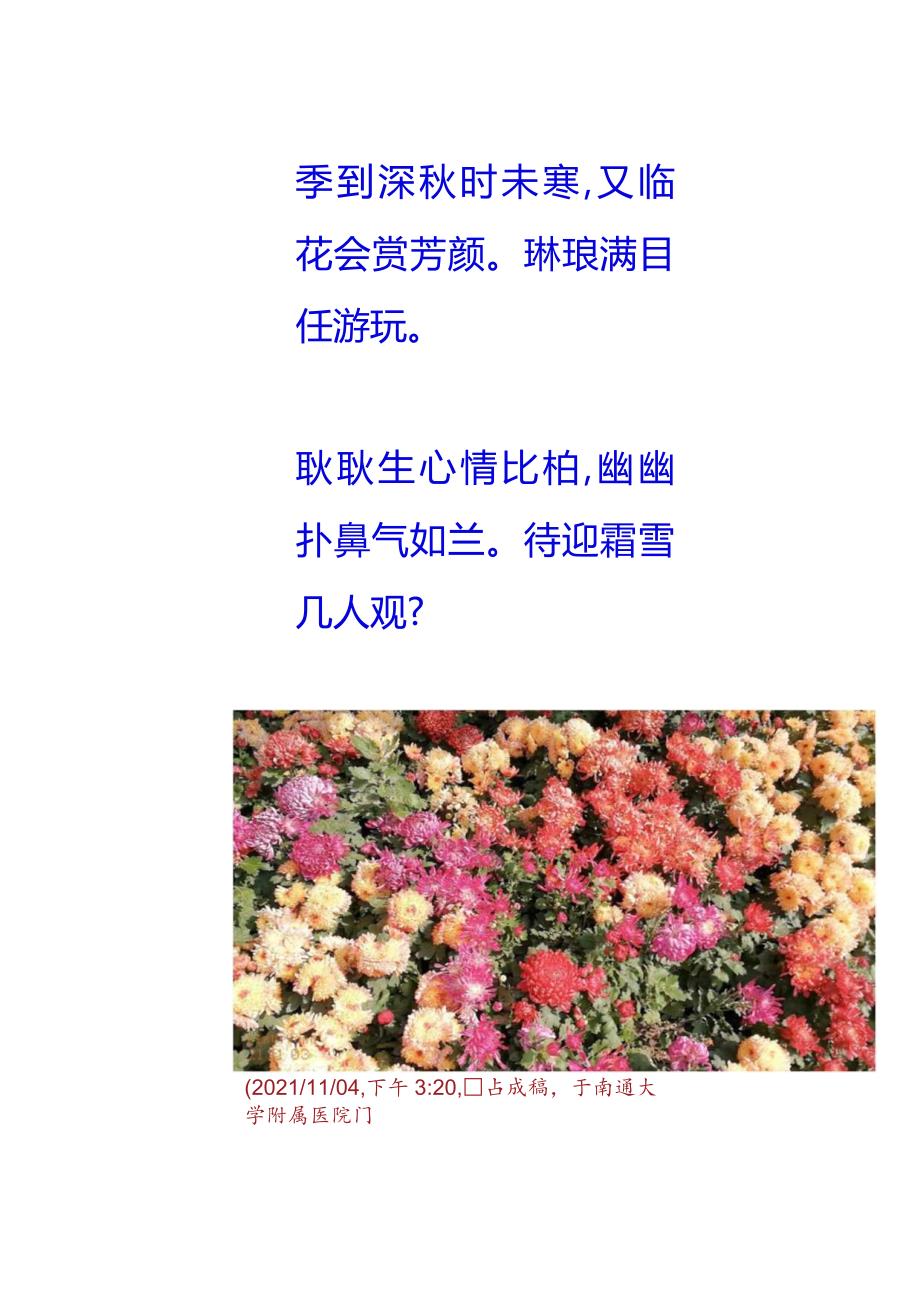 浣溪沙-唐闸公园观展咏菊.docx_第2页