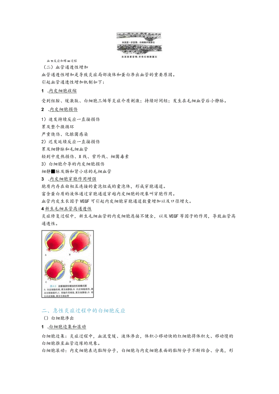 病理学整理4.炎症.docx_第3页