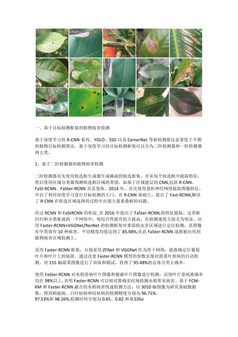 深度学习在植物病害目标检测研究汇总.docx_第2页