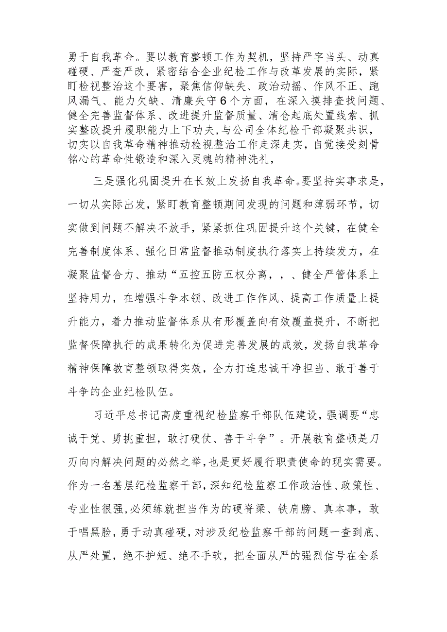 纪检监察干部教育整顿研讨发言心得体会材料.docx_第2页