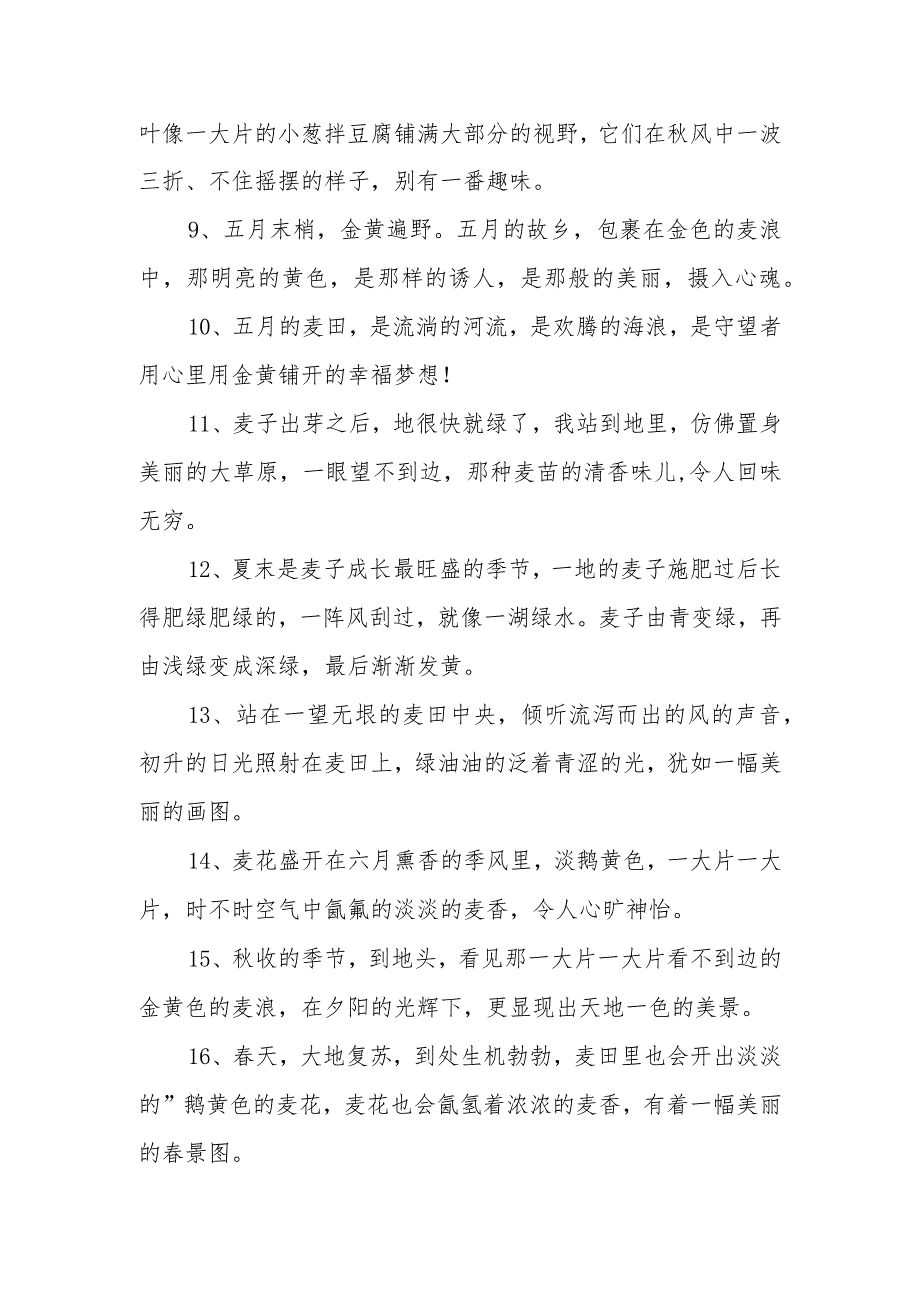 麦田里一群孩子的文案.docx_第2页