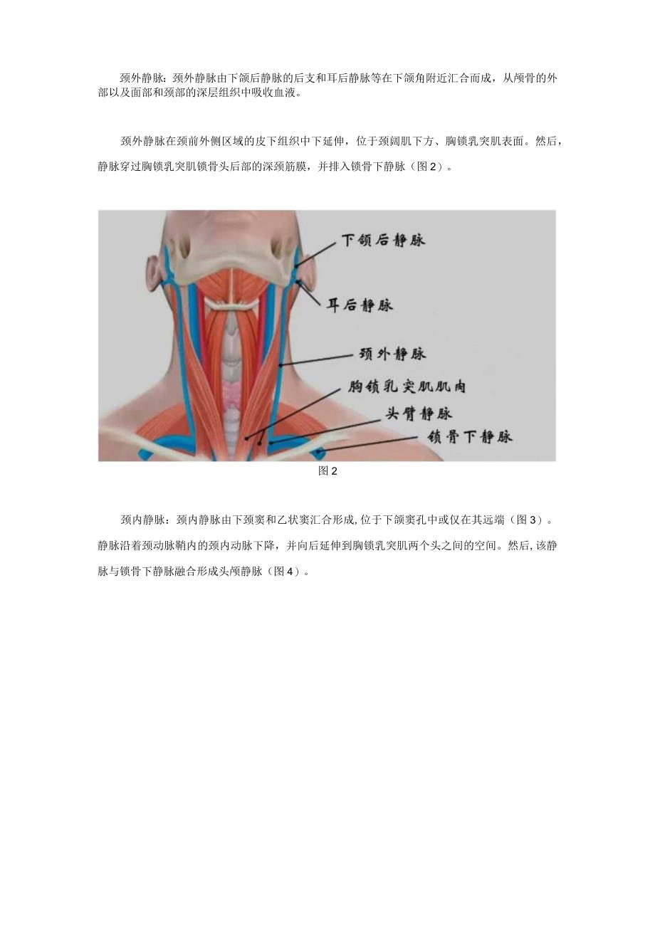 深静脉穿刺全攻略-深静脉穿刺全攻略.docx_第2页