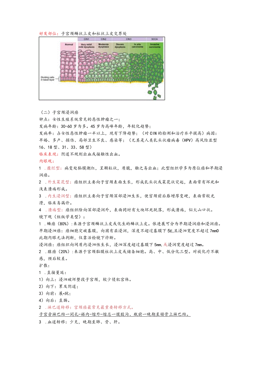 病理学14.生殖系统和乳腺疾病.docx_第2页