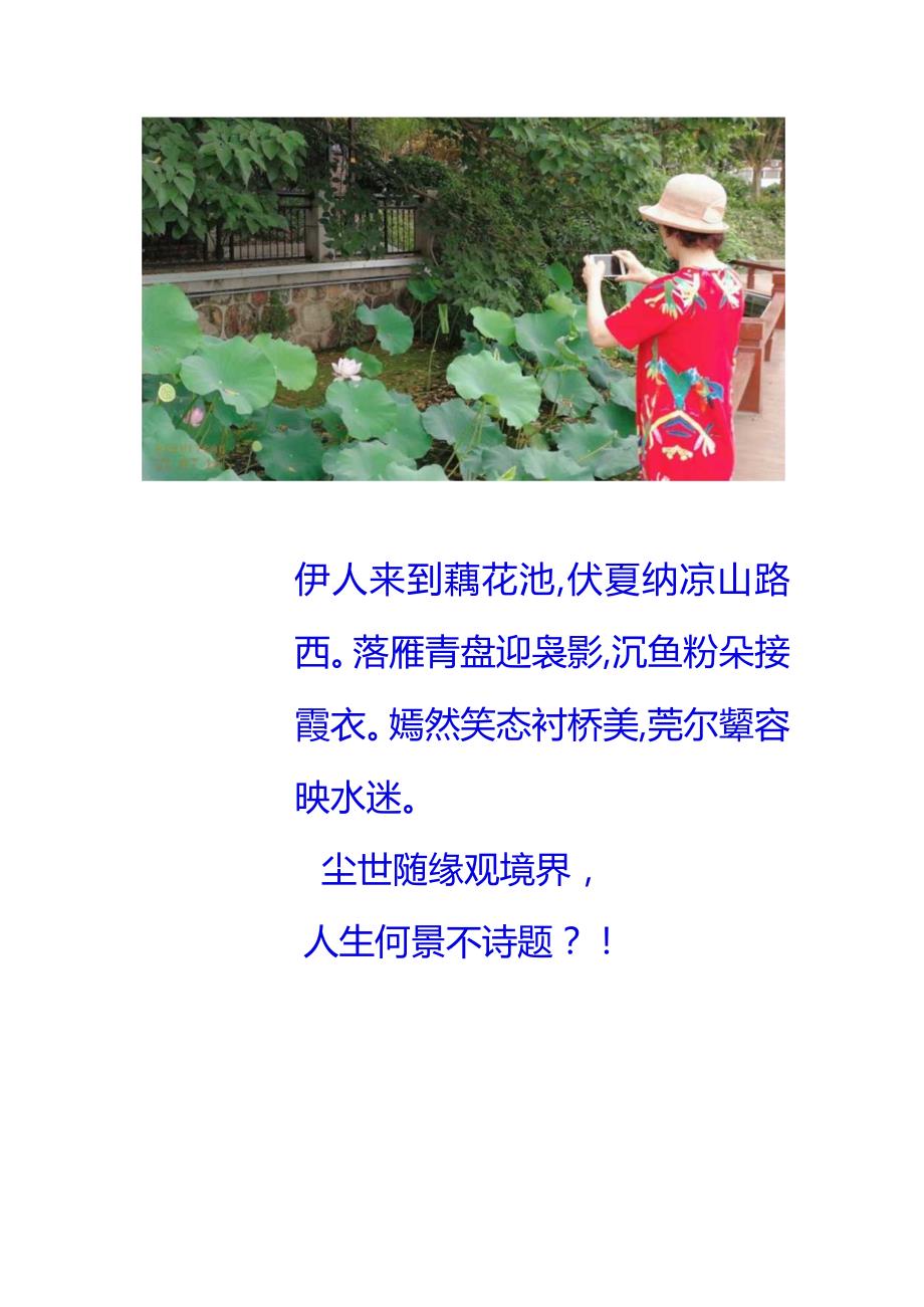 辛丑年盛夏偕玲姑娘游观映红楼荷花.docx_第2页