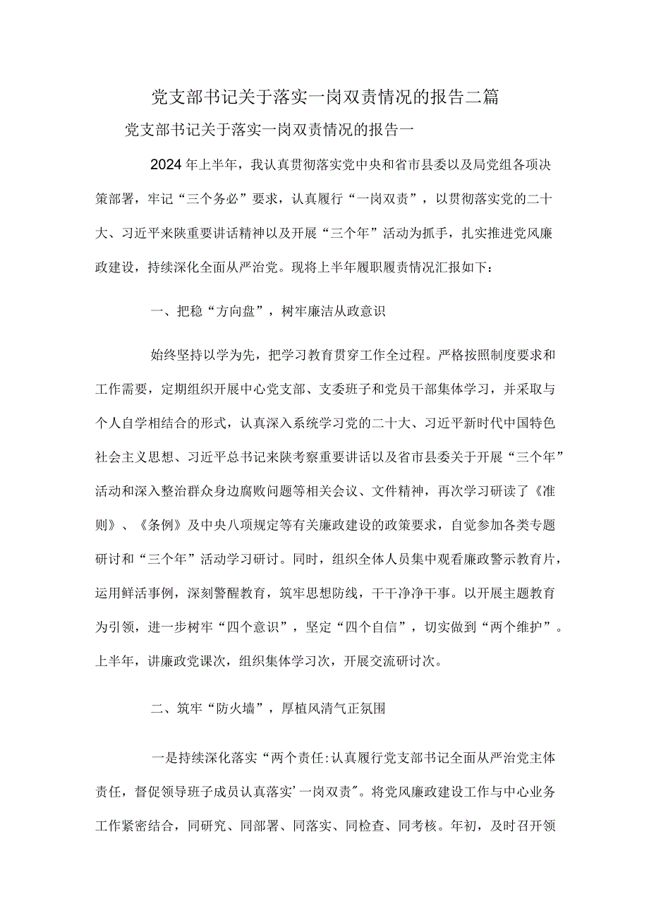 党支部书记关于落实一岗双责情况的报告二篇.docx_第1页