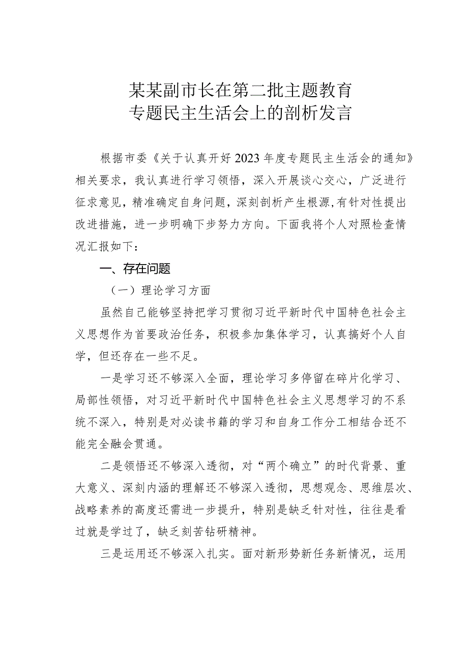 某某副市长在第二批主题教育专题民主生活会上的剖析发言.docx_第1页