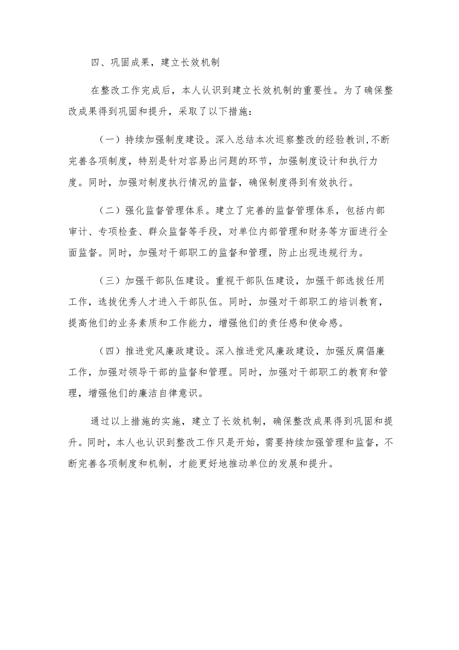 2024巡察整改工作主要负责人组织落实情况报告.docx_第3页