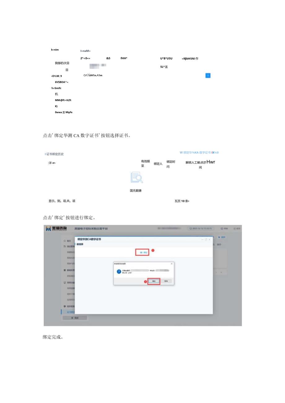 CA自助绑定操作说明.docx_第3页