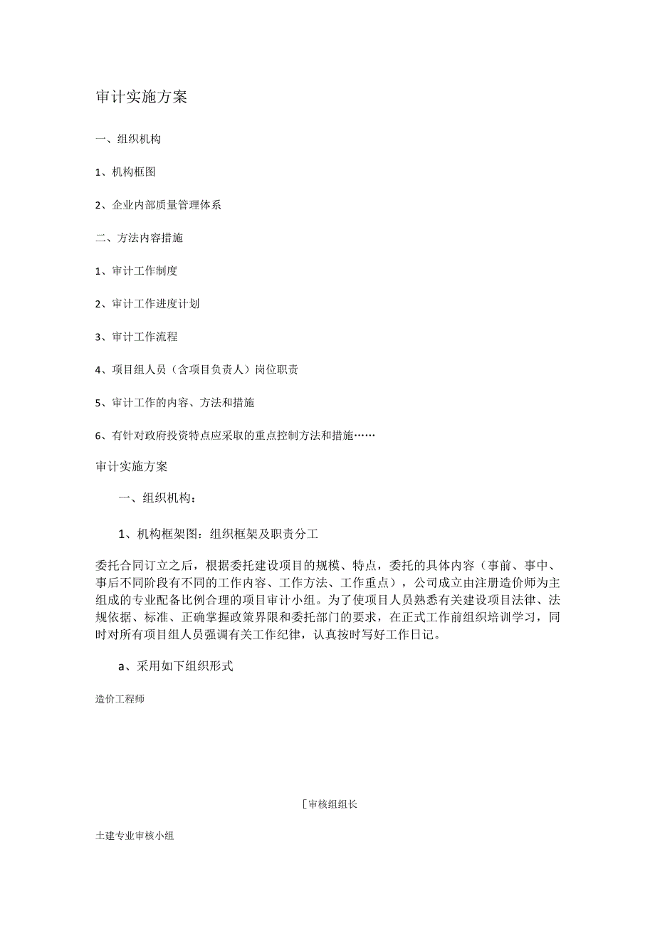 审计实施实施方案.docx_第1页