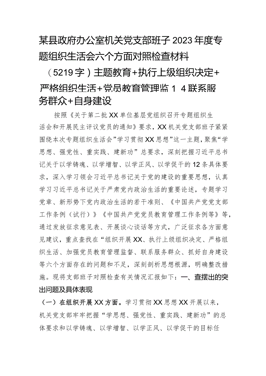 （政府办支部班子）2023年度主题教育专题组织生活会六个方面对照检查材料（主题教育+执行上级组织决定+严格组织生活+党员教育管理监督+联系服务群众+自身建设.docx_第1页