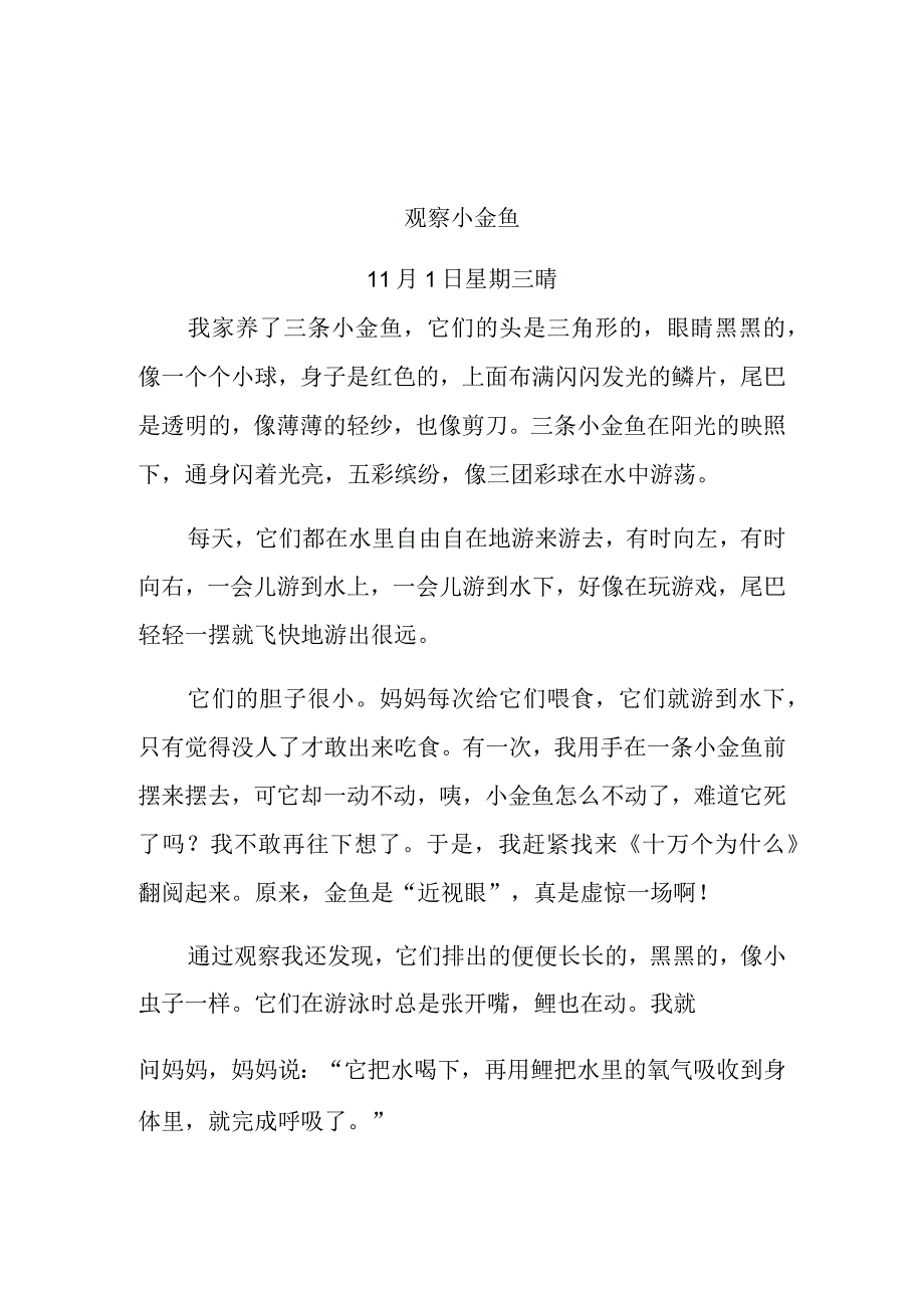 观察桔子小金鱼日记.docx_第2页