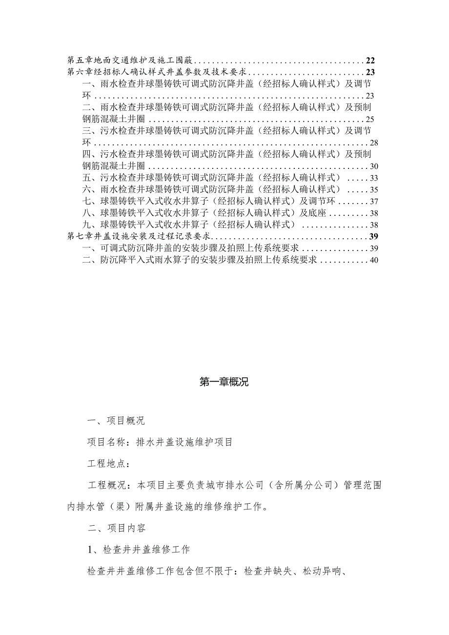 排水井盖设施维护项目用户需求书.docx_第2页