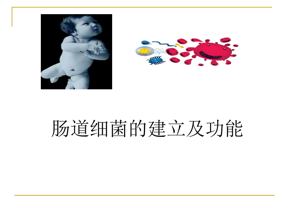 肠道菌群紊乱与疾病.ppt_第2页