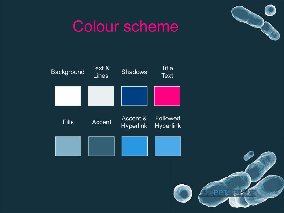 细菌医学主题PPT ppt模板.ppt_第3页