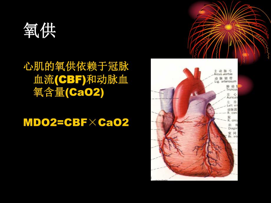 19心肌氧供氧需.ppt_第2页