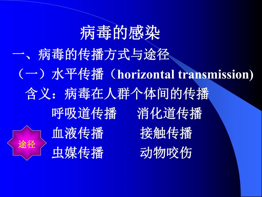 第21章病毒的感染与致病机制.ppt_第2页