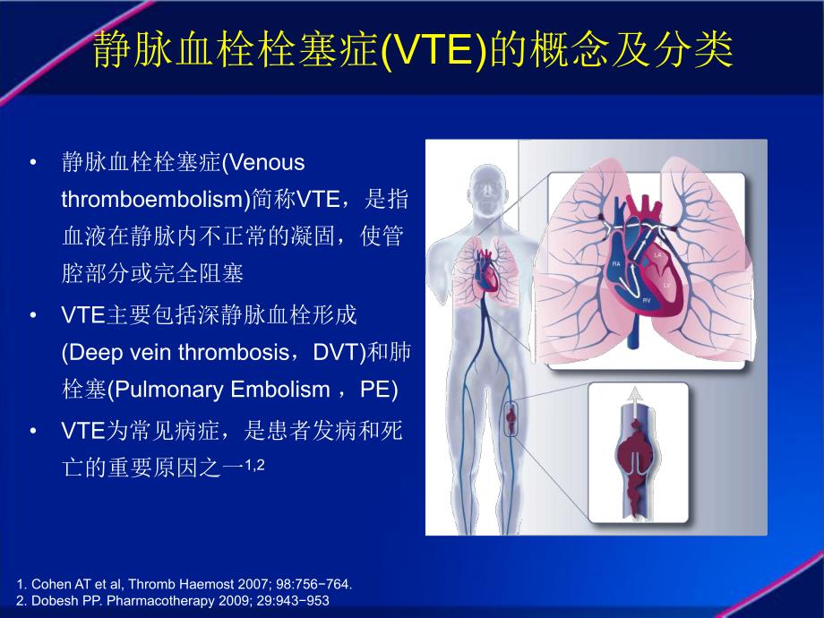 VTE治疗的最新策略要点.ppt_第2页