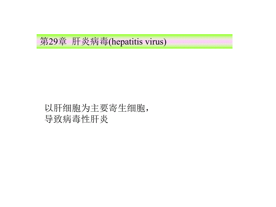 第28章 肝炎病毒[优质文档].ppt_第1页