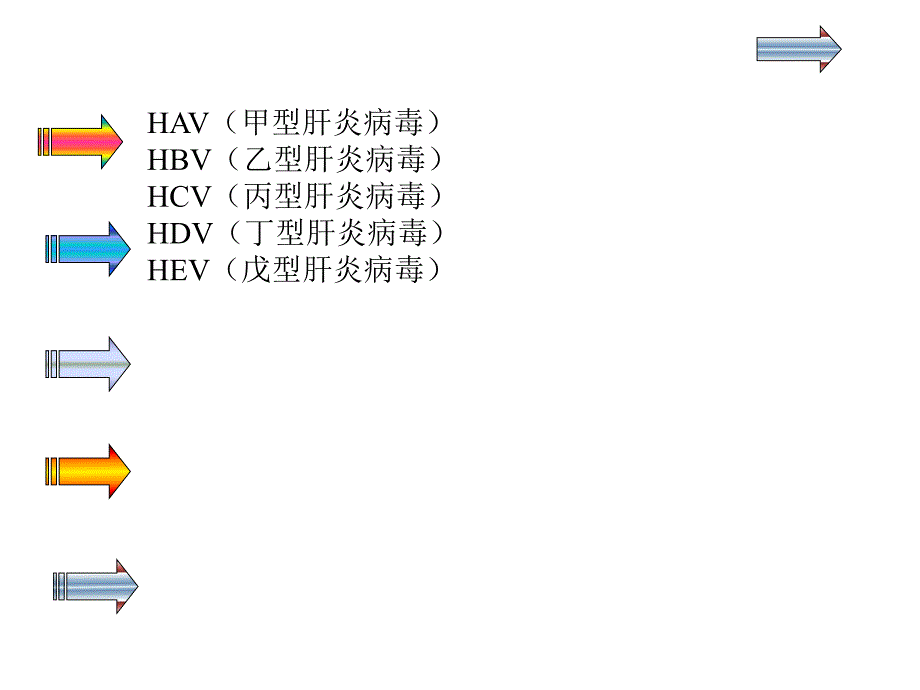 第28章 肝炎病毒[优质文档].ppt_第2页